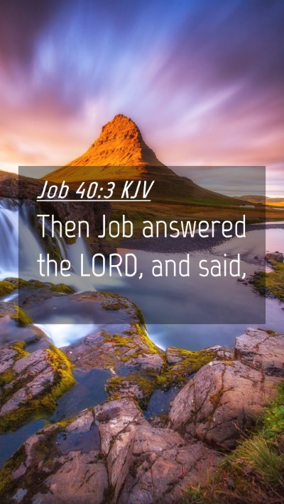 Picture 04 - Job 40:3 KJV Mobile Phone Wallpaper - Then Job answered the LORD, and - Mobile Bible Verse Wallpaper