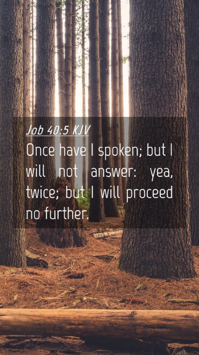 Picture 04 - Job 40:5 KJV Mobile Phone Wallpaper - Once have I spoken; but I will not answer: yea, - Mobile Bible Verse Wallpaper