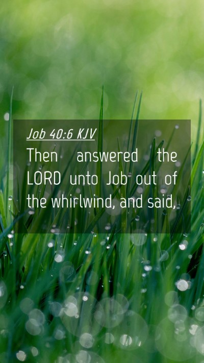 Picture 04 - Job 40:6 KJV Mobile Phone Wallpaper - Then answered the LORD unto Job out of the - Mobile Bible Verse Wallpaper