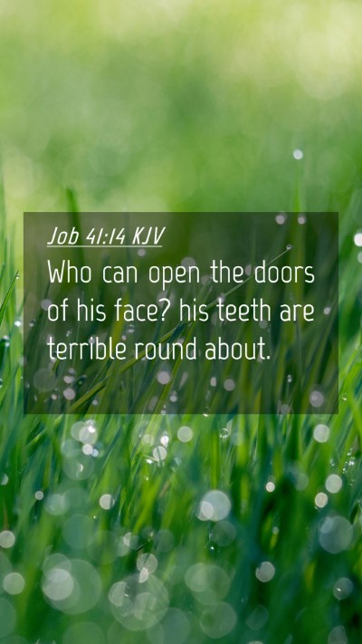 Picture 04 - Job 41:14 KJV Mobile Phone Wallpaper - Who can open the doors of his face? his teeth are - Mobile Bible Verse Wallpaper
