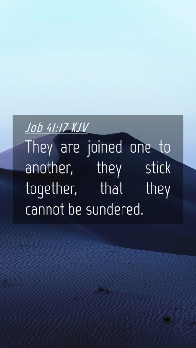 Picture 04 - Job 41:17 KJV Mobile Phone Wallpaper - They are joined one to another, they stick - Mobile Bible Verse Wallpaper