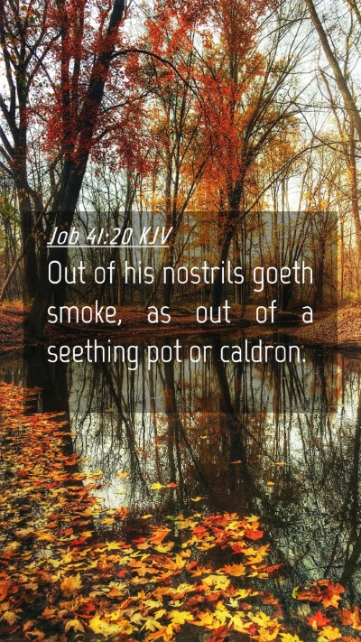 Picture 04 - Job 41:20 KJV Mobile Phone Wallpaper - Out of his nostrils goeth smoke, as out of a - Mobile Bible Verse Wallpaper