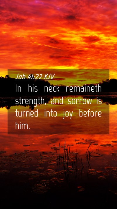 Picture 04 - Job 41:22 KJV Mobile Phone Wallpaper - In his neck remaineth strength, and sorrow is - Mobile Bible Verse Wallpaper