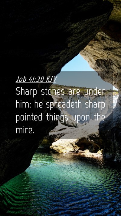 Picture 04 - Job 41:30 KJV Mobile Phone Wallpaper - Sharp stones are under him: he spreadeth sharp - Mobile Bible Verse Wallpaper
