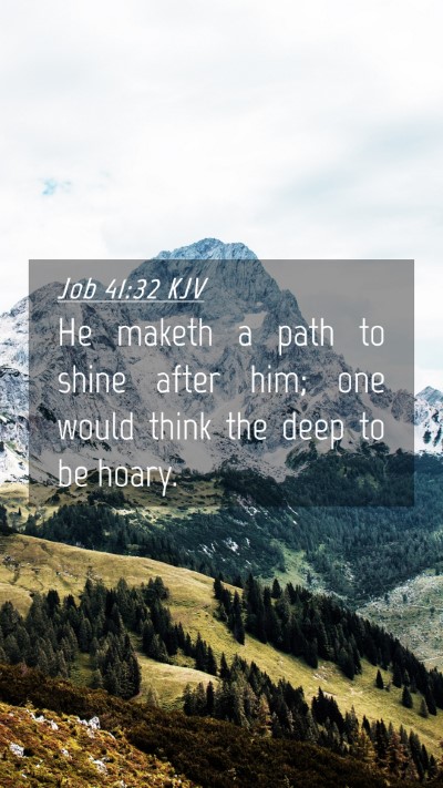 Picture 04 - Job 41:32 KJV Mobile Phone Wallpaper - He maketh a path to shine after him; one would - Mobile Bible Verse Wallpaper