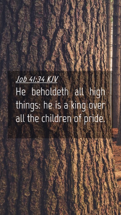 Picture 04 - Job 41:34 KJV Mobile Phone Wallpaper - He beholdeth all high things: he is a king over - Mobile Bible Verse Wallpaper
