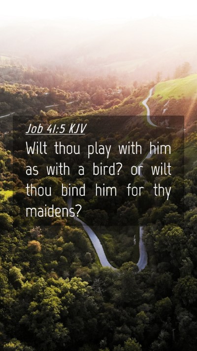 Picture 04 - Job 41:5 KJV Mobile Phone Wallpaper - Wilt thou play with him as with a bird? or wilt - Mobile Bible Verse Wallpaper