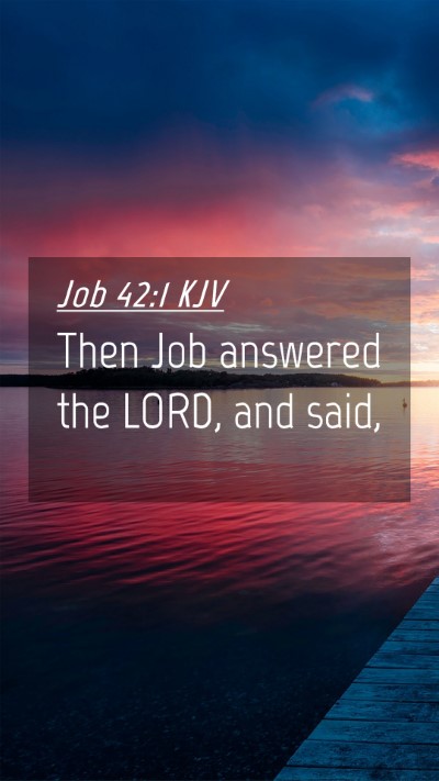 Picture 04 - Job 42:1 KJV Mobile Phone Wallpaper - Then Job answered the LORD, and - Mobile Bible Verse Wallpaper