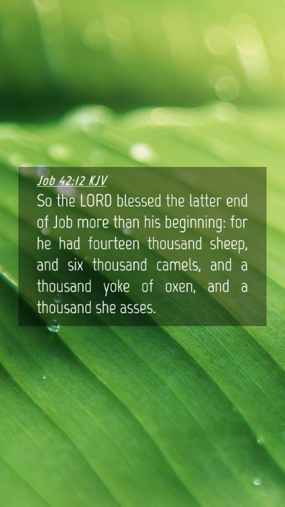 Picture 04 - Job 42:12 KJV Mobile Phone Wallpaper - So the LORD blessed the latter end of Job more - Mobile Bible Verse Wallpaper