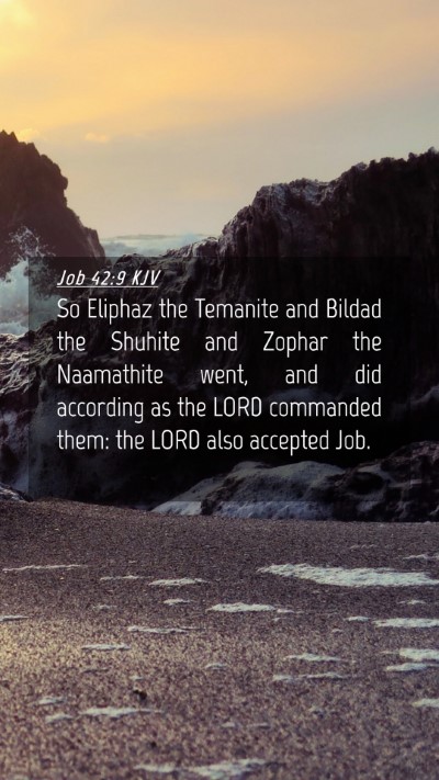 Picture 04 - Job 42:9 KJV Mobile Phone Wallpaper - So Eliphaz the Temanite and Bildad the Shuhite - Mobile Bible Verse Wallpaper