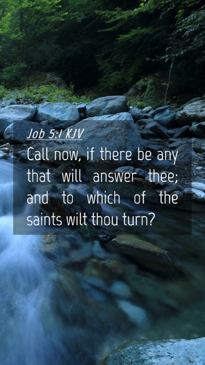 Picture 04 - Job 5:1 KJV Mobile Phone Wallpaper - Call now, if there be any that will answer thee; - Mobile Bible Verse Wallpaper