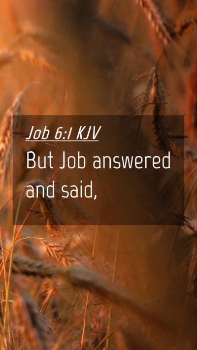 Picture 04 - Job 6:1 KJV Mobile Phone Wallpaper - But Job answered and - Mobile Bible Verse Wallpaper