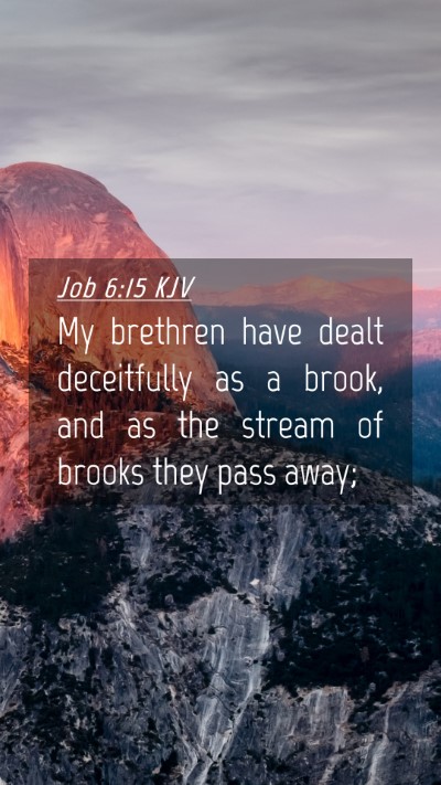 Picture 04 - Job 6:15 KJV Mobile Phone Wallpaper - My brethren have dealt deceitfully as a brook, - Mobile Bible Verse Wallpaper