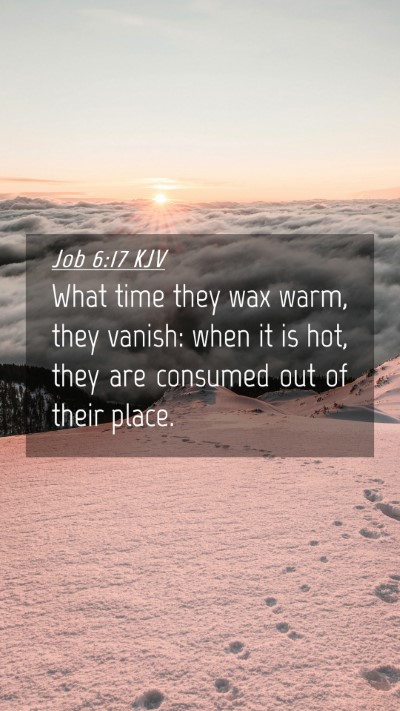 Picture 04 - Job 6:17 KJV Mobile Phone Wallpaper - What time they wax warm, they vanish: when it is - Mobile Bible Verse Wallpaper