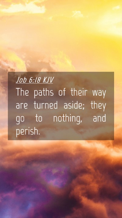 Picture 04 - Job 6:18 KJV Mobile Phone Wallpaper - The paths of their way are turned aside; they go - Mobile Bible Verse Wallpaper