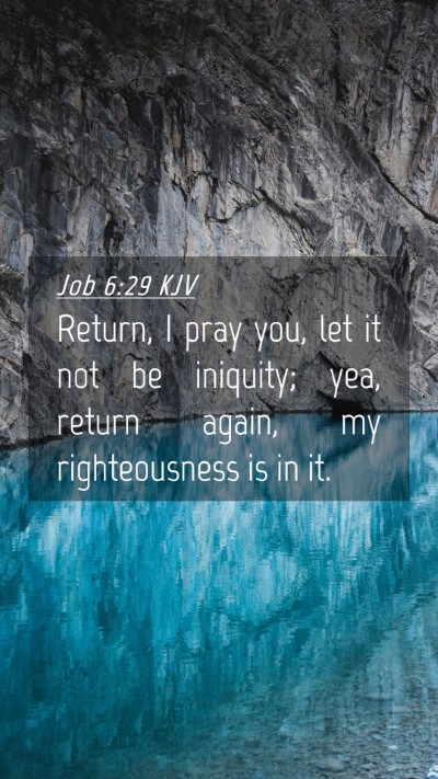 Picture 04 - Job 6:29 KJV Mobile Phone Wallpaper - Return, I pray you, let it not be iniquity; yea, - Mobile Bible Verse Wallpaper