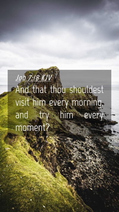 Picture 04 - Job 7:18 KJV Mobile Phone Wallpaper - And that thou shouldest visit him every morning, - Mobile Bible Verse Wallpaper