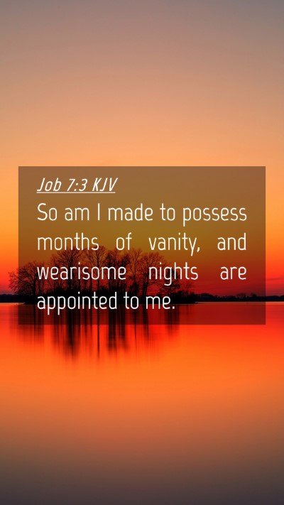 Picture 04 - Job 7:3 KJV Mobile Phone Wallpaper - So am I made to possess months of vanity, and - Mobile Bible Verse Wallpaper