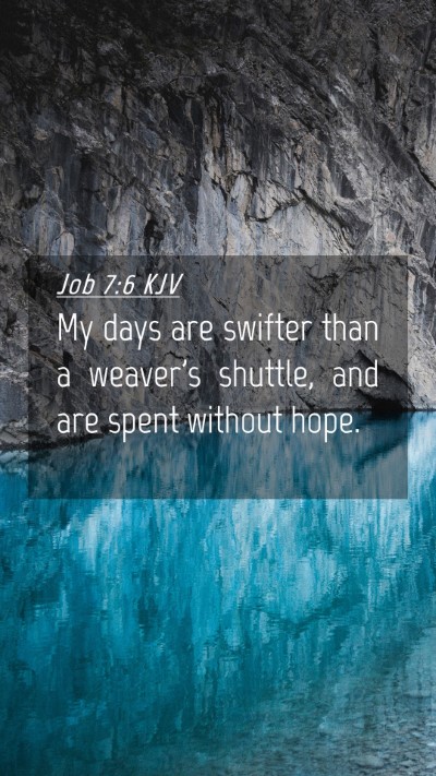 Picture 04 - Job 7:6 KJV Mobile Phone Wallpaper - My days are swifter than a weaver's shuttle, and - Mobile Bible Verse Wallpaper