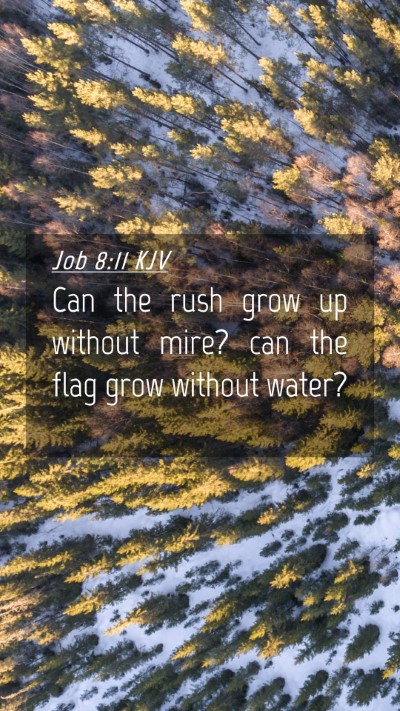 Picture 04 - Job 8:11 KJV Mobile Phone Wallpaper - Can the rush grow up without mire? can the flag - Mobile Bible Verse Wallpaper