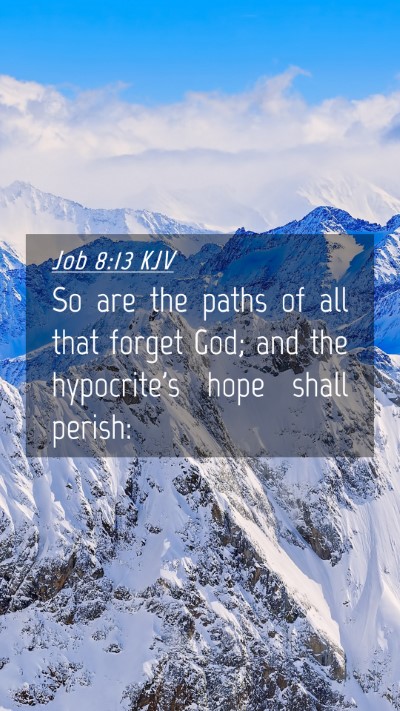 Picture 04 - Job 8:13 KJV Mobile Phone Wallpaper - So are the paths of all that forget God; and the - Mobile Bible Verse Wallpaper