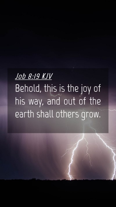 Picture 04 - Job 8:19 KJV Mobile Phone Wallpaper - Behold, this is the joy of his way, and out of - Mobile Bible Verse Wallpaper