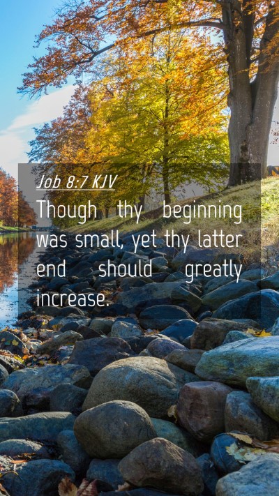 Picture 04 - Job 8:7 KJV Mobile Phone Wallpaper - Though thy beginning was small, yet thy latter - Mobile Bible Verse Wallpaper