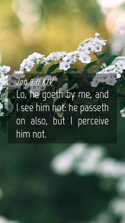 Picture 04 - Job 9:11 KJV Mobile Phone Wallpaper - Lo, he goeth by me, and I see him not: he passeth - Mobile Bible Verse Wallpaper