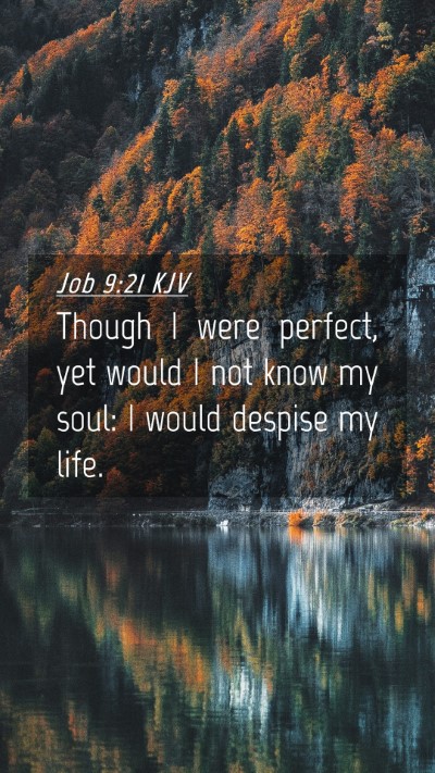Picture 04 - Job 9:21 KJV Mobile Phone Wallpaper - Though I were perfect, yet would I not know my - Mobile Bible Verse Wallpaper
