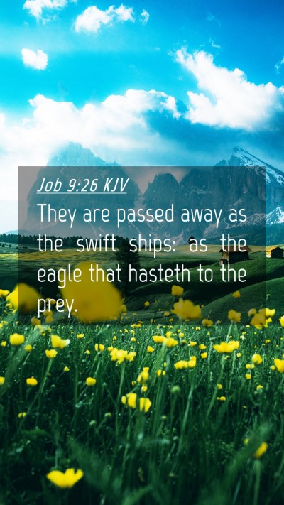 Picture 04 - Job 9:26 KJV Mobile Phone Wallpaper - They are passed away as the swift ships: as the - Mobile Bible Verse Wallpaper