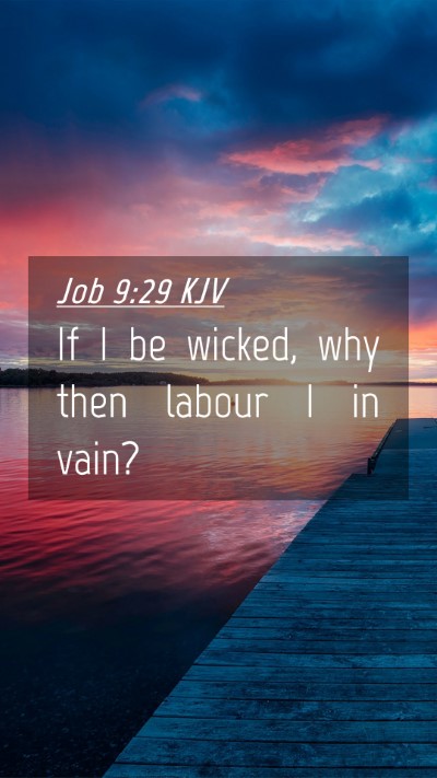 Picture 04 - Job 9:29 KJV Mobile Phone Wallpaper - If I be wicked, why then labour I in - Mobile Bible Verse Wallpaper