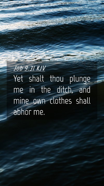 Picture 04 - Job 9:31 KJV Mobile Phone Wallpaper - Yet shalt thou plunge me in the ditch, and mine - Mobile Bible Verse Wallpaper