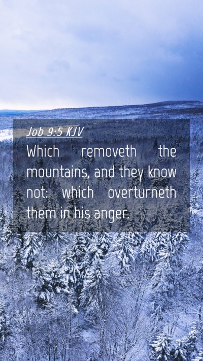 Picture 04 - Job 9:5 KJV Mobile Phone Wallpaper - Which removeth the mountains, and they know not: - Mobile Bible Verse Wallpaper