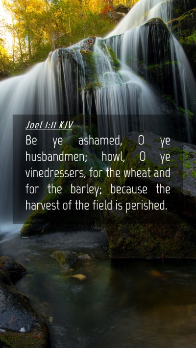 Picture 04 - Joel 1:11 KJV Mobile Phone Wallpaper - Be ye ashamed, O ye husbandmen; howl, O ye - Mobile Bible Verse Wallpaper