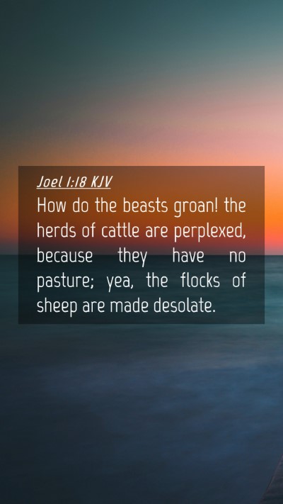 Picture 04 - Joel 1:18 KJV Mobile Phone Wallpaper - How do the beasts groan! the herds of cattle are - Mobile Bible Verse Wallpaper