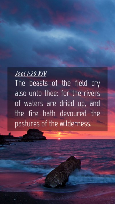 Picture 04 - Joel 1:20 KJV Mobile Phone Wallpaper - The beasts of the field cry also unto thee: for - Mobile Bible Verse Wallpaper
