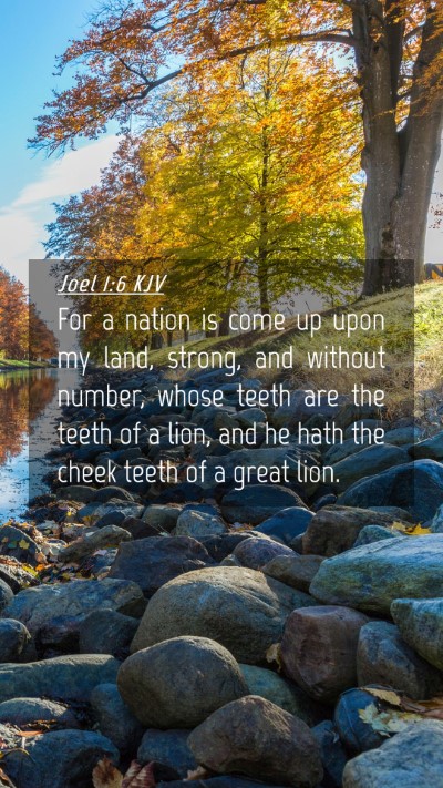 Picture 04 - Joel 1:6 KJV Mobile Phone Wallpaper - For a nation is come up upon my land, strong, and - Mobile Bible Verse Wallpaper