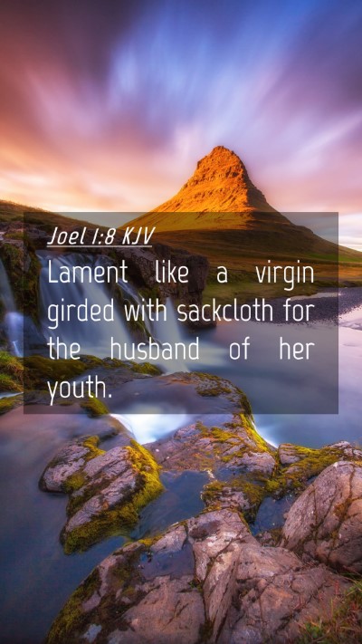 Picture 04 - Joel 1:8 KJV Mobile Phone Wallpaper - Lament like a virgin girded with sackcloth for - Mobile Bible Verse Wallpaper