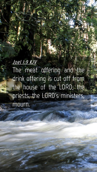 Picture 04 - Joel 1:9 KJV Mobile Phone Wallpaper - The meat offering and the drink offering is cut - Mobile Bible Verse Wallpaper