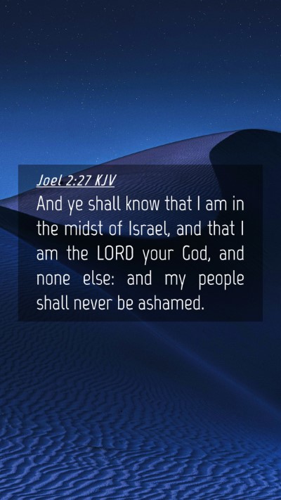 Picture 04 - Joel 2:27 KJV Mobile Phone Wallpaper - And ye shall know that I am in the midst of - Mobile Bible Verse Wallpaper