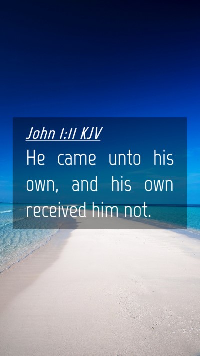 Picture 04 - John 1:11 KJV Mobile Phone Wallpaper - He came unto his own, and his own received him - Mobile Bible Verse Wallpaper