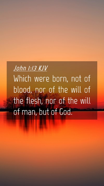 Picture 04 - John 1:13 KJV Mobile Phone Wallpaper - Which were born, not of blood, nor of the will of - Mobile Bible Verse Wallpaper