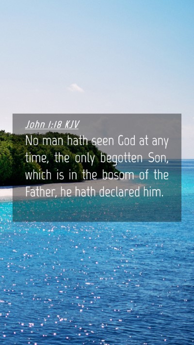 Picture 04 - John 1:18 KJV Mobile Phone Wallpaper - No man hath seen God at any time, the only - Mobile Bible Verse Wallpaper
