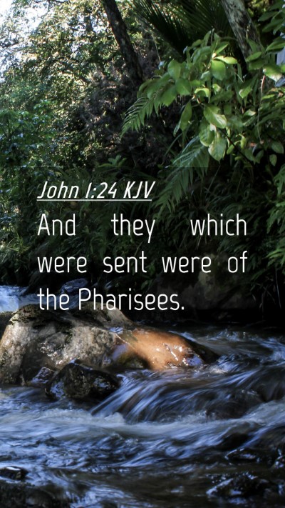 Picture 04 - John 1:24 KJV Mobile Phone Wallpaper - And they which were sent were of the - Mobile Bible Verse Wallpaper