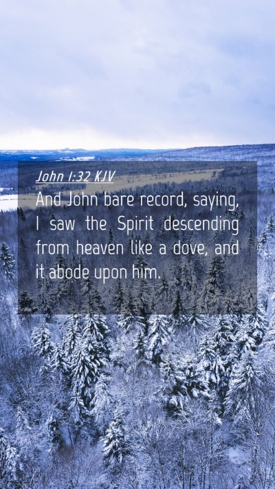 Picture 04 - John 1:32 KJV Mobile Phone Wallpaper - And John bare record, saying, I saw the Spirit - Mobile Bible Verse Wallpaper