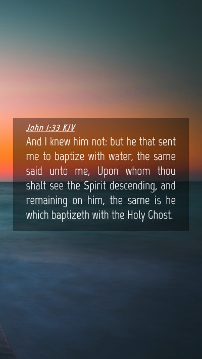 Picture 04 - John 1:33 KJV Mobile Phone Wallpaper - And I knew him not: but he that sent me to - Mobile Bible Verse Wallpaper