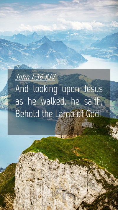 Picture 04 - John 1:36 KJV Mobile Phone Wallpaper - And looking upon Jesus as he walked, he saith, - Mobile Bible Verse Wallpaper