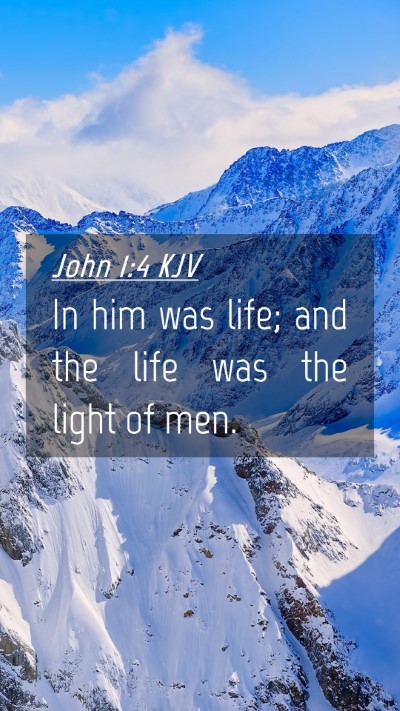 Picture 04 - John 1:4 KJV Mobile Phone Wallpaper - In him was life; and the life was the light of - Mobile Bible Verse Wallpaper