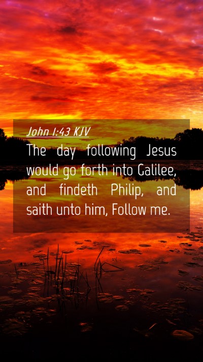 Picture 04 - John 1:43 KJV Mobile Phone Wallpaper - The day following Jesus would go forth into - Mobile Bible Verse Wallpaper