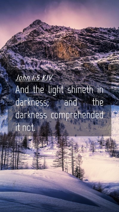 Picture 04 - John 1:5 KJV Mobile Phone Wallpaper - And the light shineth in darkness; and the - Mobile Bible Verse Wallpaper